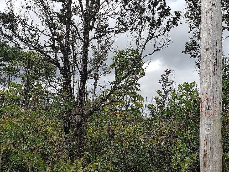 2nd image of 10th Avenue Kiele Lot 821