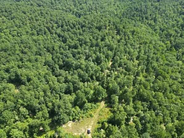 0 Black Bear Trail Rd, Linden, TN 37096