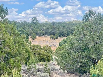 Adams, Ramah, NM, 87321