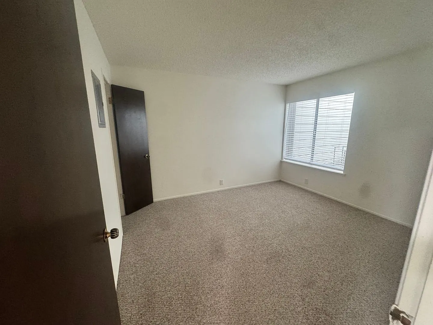 Charming Central Richmond Two-Bedroom — Photo 3