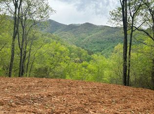 8 Blackberry Run, Bryson City, NC 28713