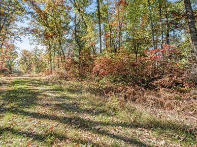 V/l Hughes St, Idlewild, MI, 49642