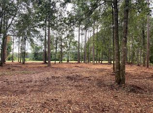 0 Mount Olive Church Rd, Tifton, GA 31794