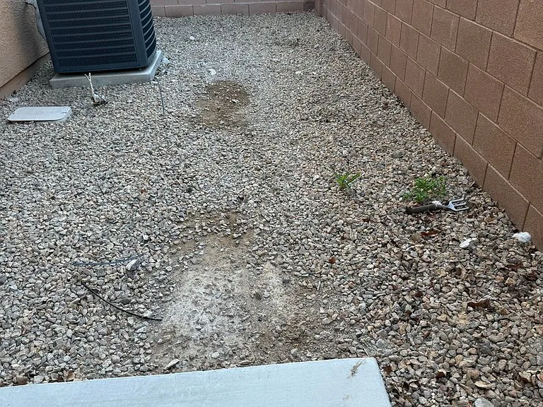 1358 Grass Creek Ave #1 — Photo 23