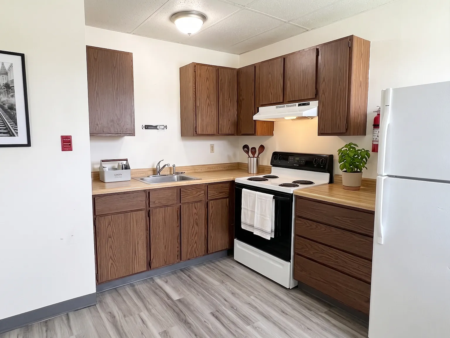 1 bed, $995 — Photo 2