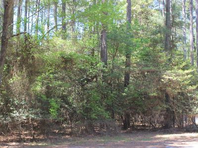 489 Dry Dock Ct #489, Greenbackville, VA, 23356
