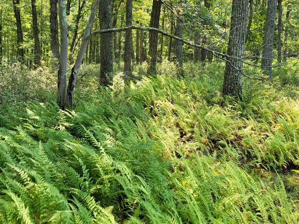 252 Lakeview Ct, Milford, PA 18337