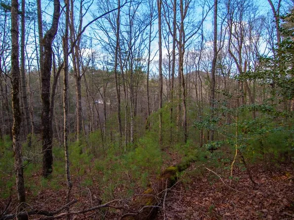 1 Rock Crk, Cherry Log, GA 30522