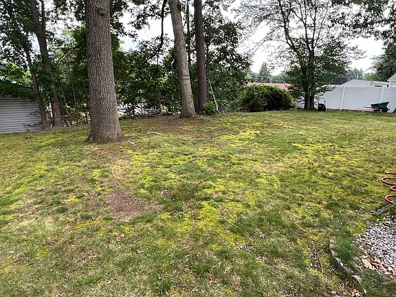 Back yard