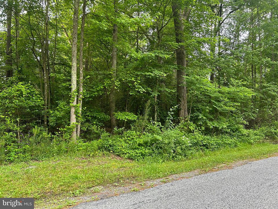 2nd image of Pie Ln