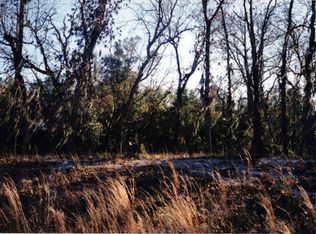 311 Saint Johns Ave, Satsuma, FL 32189