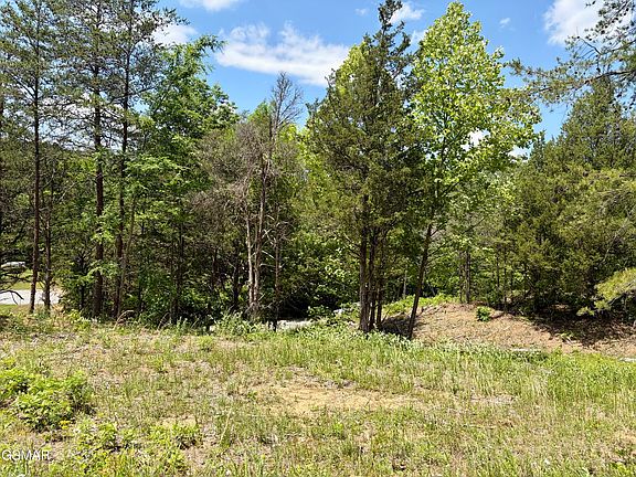 2nd image of LOT 7 Burchfiel Way