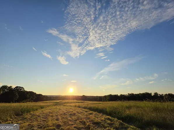 0 Ellerbeetown Rd, Thomaston, GA 30286