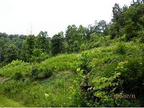1st image of Lick Skillet Road
