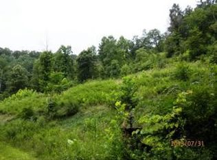 Lick Skillet Road, Elizabethton, TN 37643