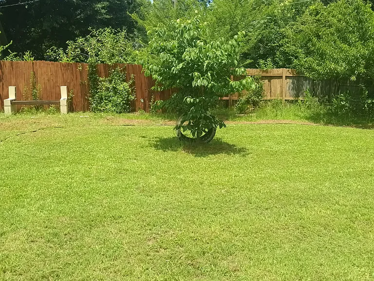 206 Orchard Way — Photo 12