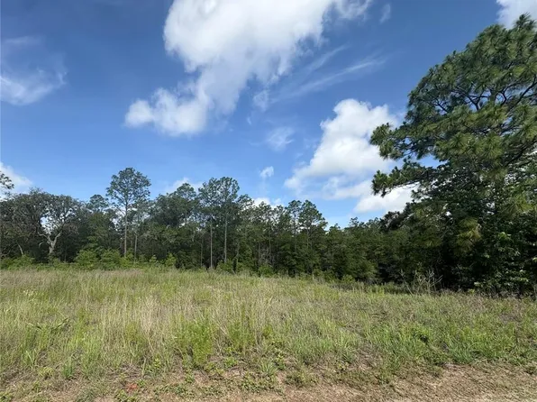 SW 152nd Ct Lot 92, Ocala, FL 34481