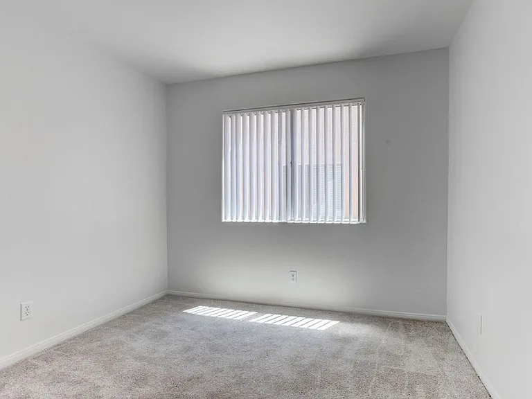 4579 Canna Dr — Photo 23