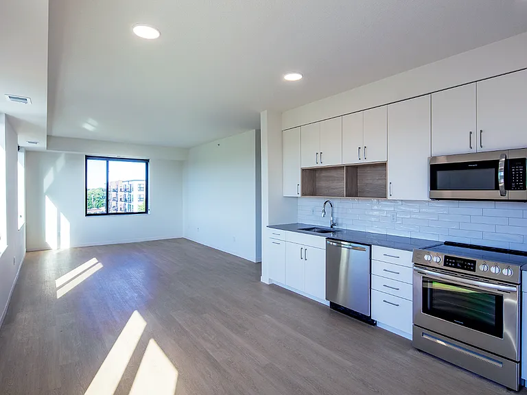 Living and Kitchen