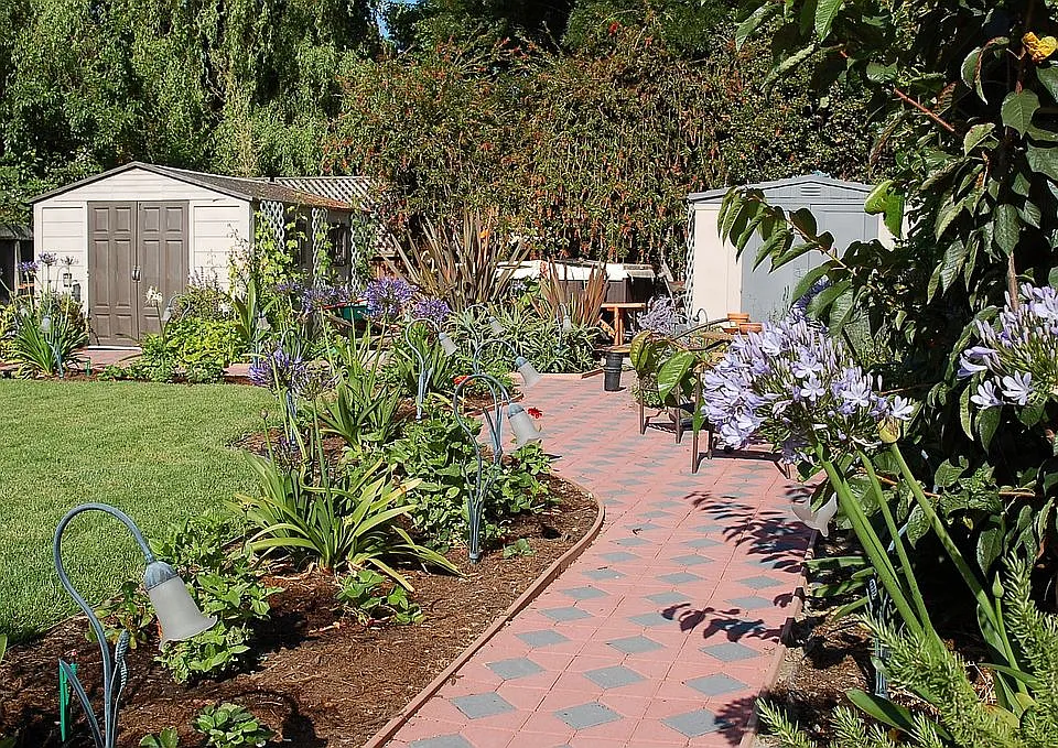 Backyard