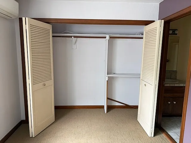 Nice closet space.