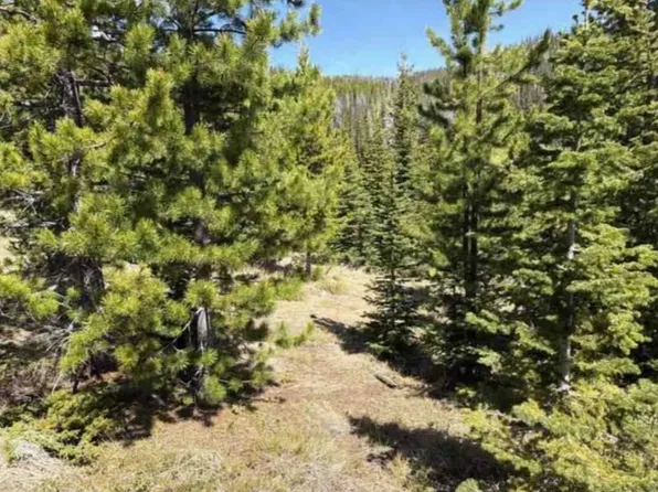 Nhn Corral Gulch Rd, Clancy, MT 59634