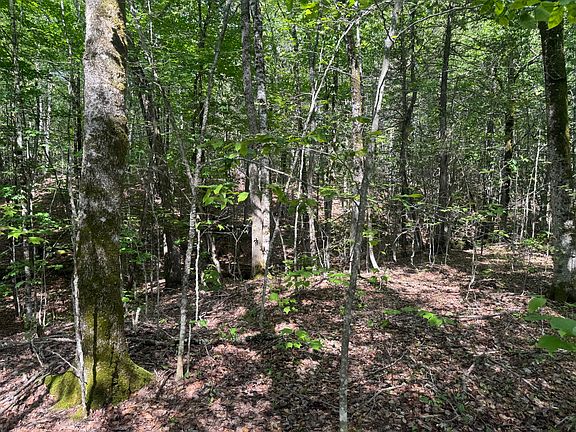 3rd image of Lot 7 Curtis Farm Road