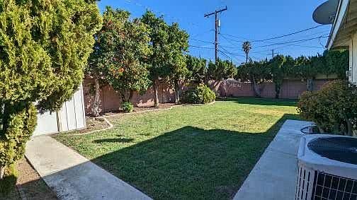 another view of backyard