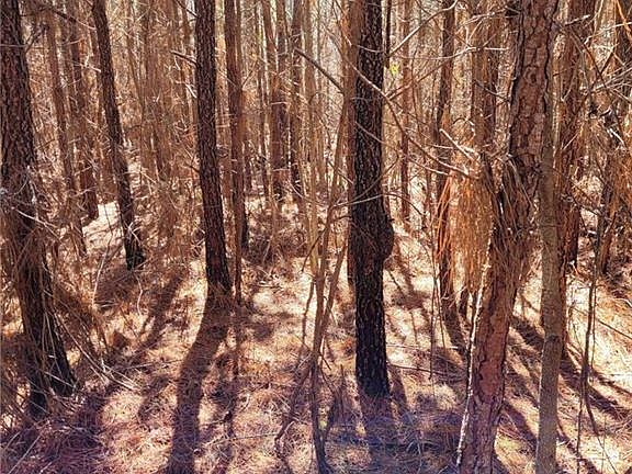 5th image of 801 Brick Yard Rd