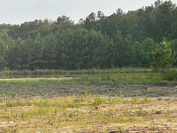 4th image of 24980 Blackburn Dr