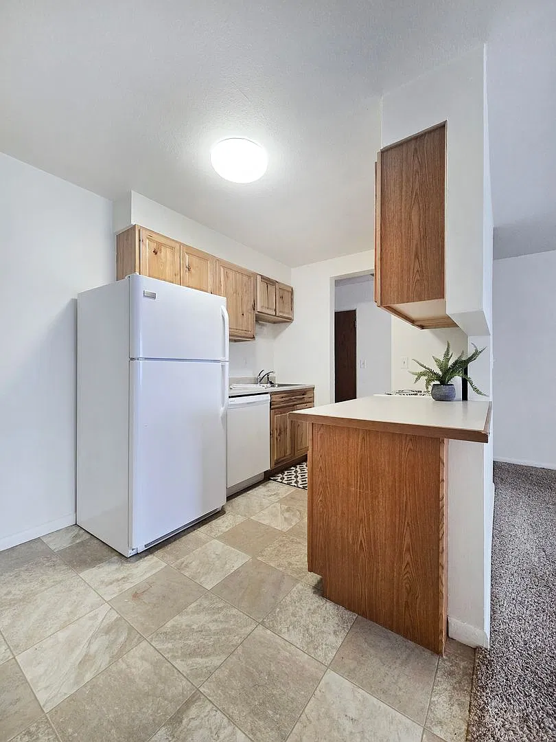 Park Apartments - 502 — Photo 4