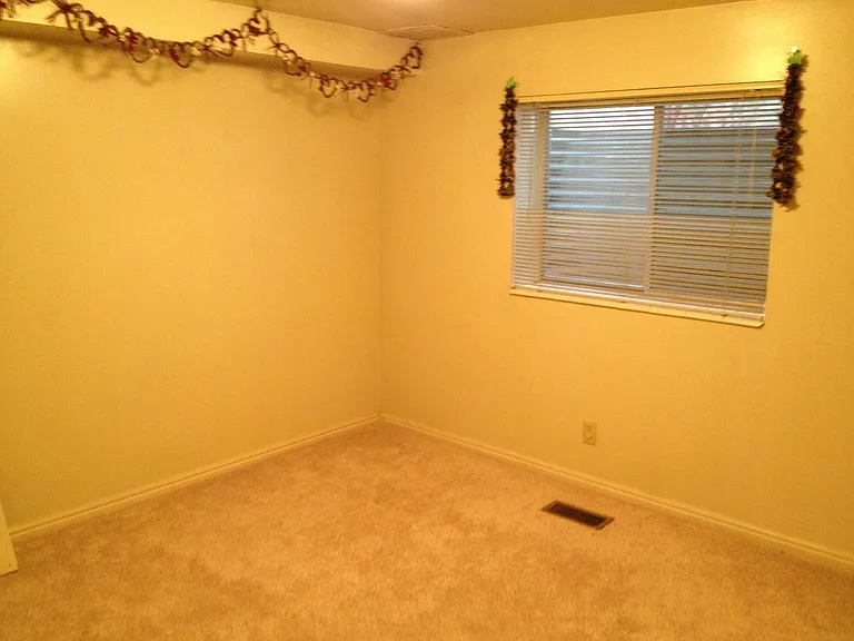 2411 Lily Langtry Ct — Photo 4
