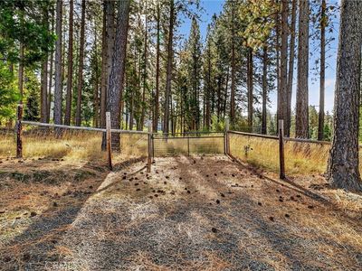 4120 Jack Dale Way #1, Oroville, CA, 95965