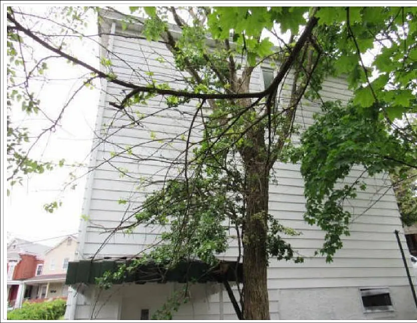 3 bed, 864 sqft, $1,800 — Photo 4