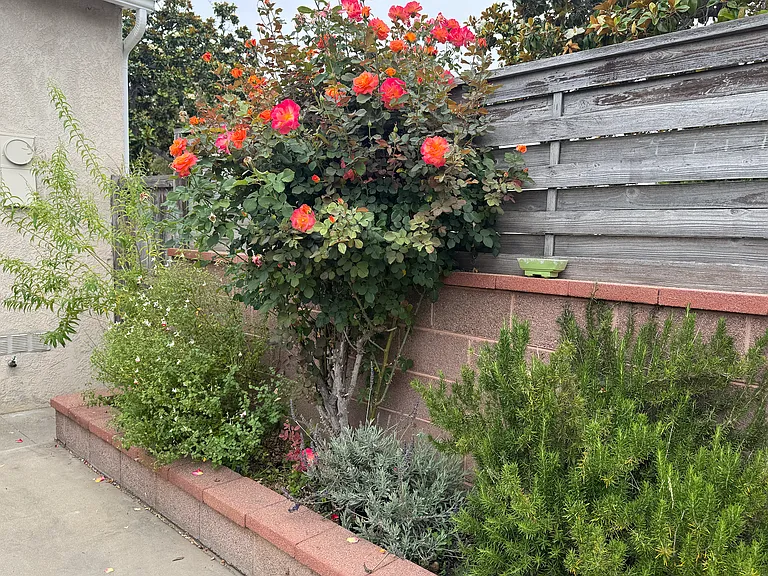 4862 Oliva Ave — Photo 15