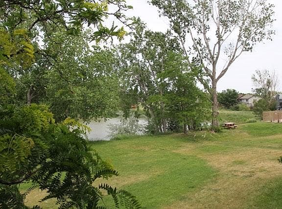 Back lawn to pond