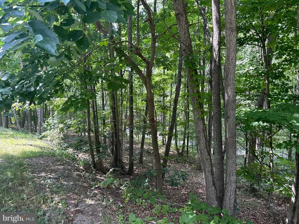 61 Elk Rd, Basye, VA 22810