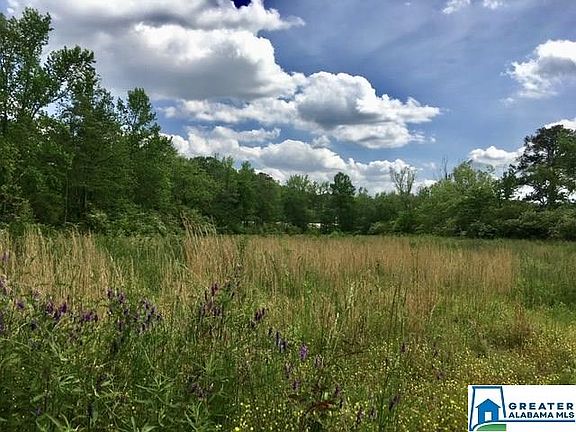 4th image of 8802 Gadsden Hwy Lot 24