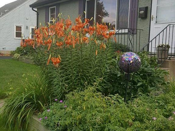 2nd image of 151 Spruce St W
