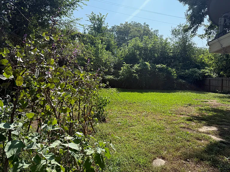 10715 Ewing Dr — Photo 10