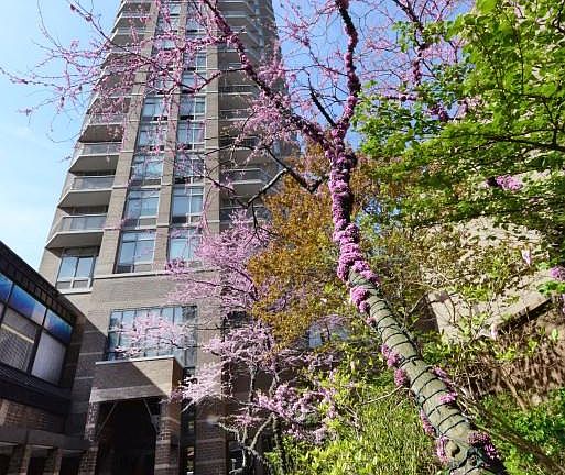 4th image of 188 E 64th St APT 1602