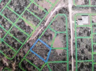 205 Dewolf Ave, Lake Placid, FL 33852