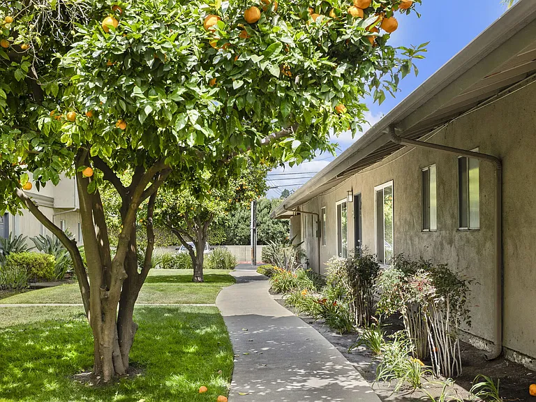 Walking paths through tropical landscaping at Mango Tree Apartments in Santa Ana, CA