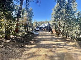 900 Forest Dr, Bailey, CO 80421