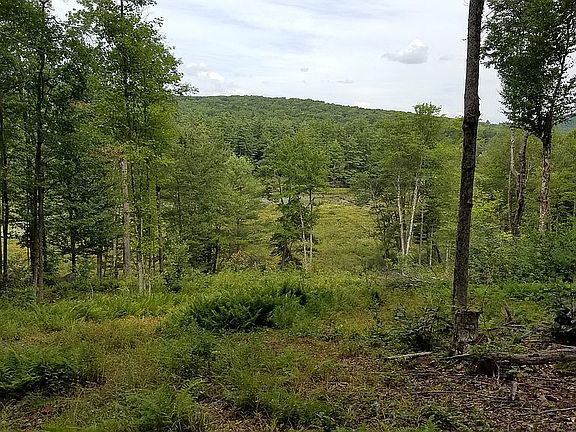 View of Chapman Pond inlet