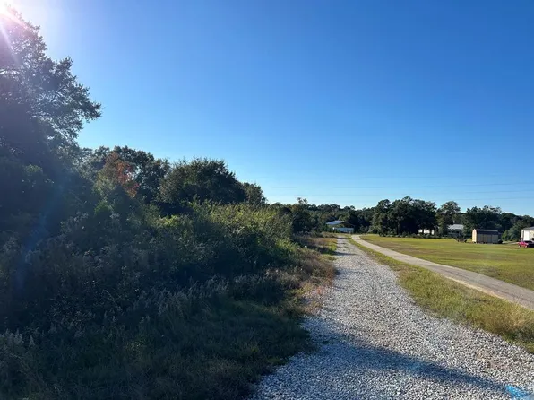 2212 County Road 15, Headland, AL 36345