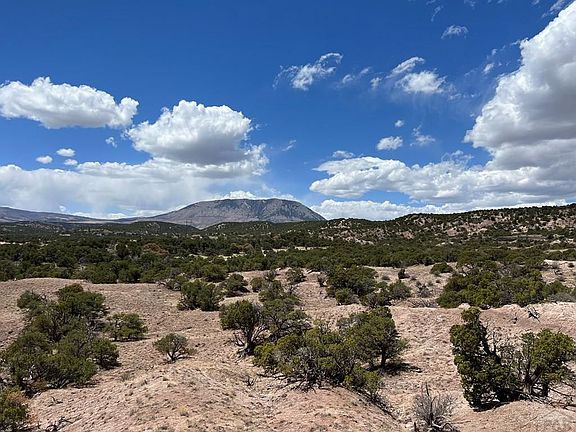 4th image of 25 Colorado Land Grazing