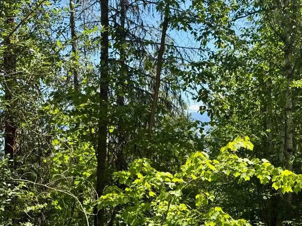 Perelandra Cir Lot 36-37-41, Danville, WA 99121