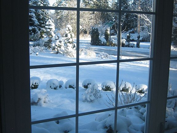 Looking out front