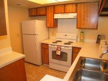 1st image of 7117 Wood Hollow Dr APT 1224